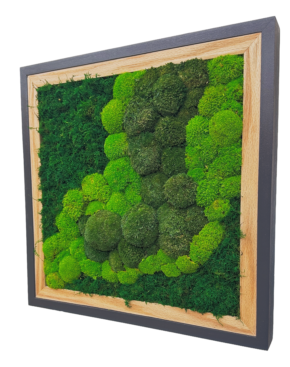 Double Frame angled view