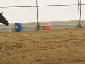 Earn Your Horse's Respect