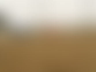 Earn Your Horse's Respect