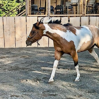 f921ec11-5531-446c-b22e-d7497c2ca9ff_edi