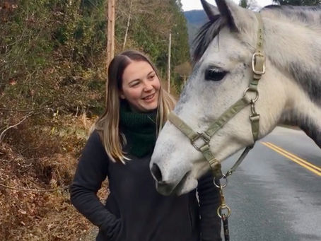 What to expect from a horse behaviour consultation