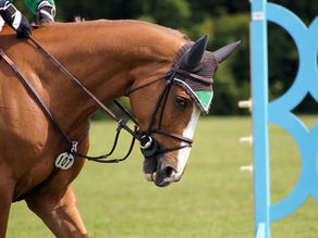 Oops!...I Did It Again - Your role in the creation of unwanted behaviors