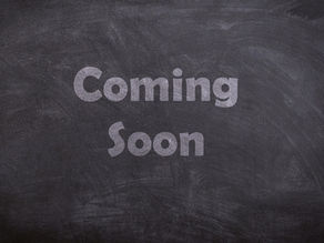 Credible Information about Horse Behavior and Training: Where to get it