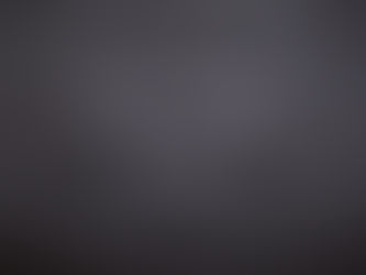 Credible Information about Horse Behavior and Training: Where to get it