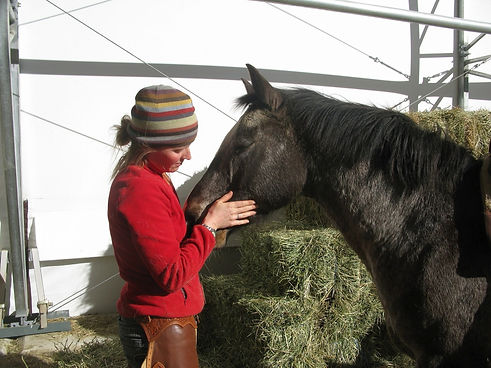 Woman gently holds the face of a horse, representing compassionate support for owners facing difficult horse behaviour decisions.