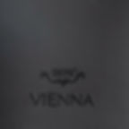 65 VIENNA