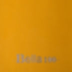 B100 BELLA
