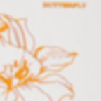 9B BUTTERFLY
