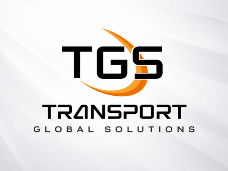 transport în Elveția din România camion logistică internațională