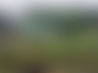 ER酵母入りボカシ有機肥料