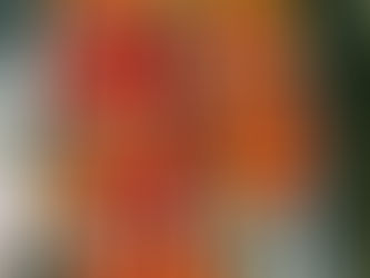 柴田農園のミニトマトと、子ども農園の枝豆