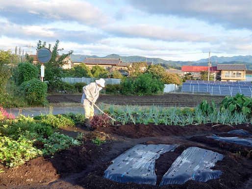 3日振りの農園、秋の野良日和