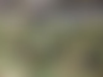 JA碓氷安中の青壮年部有志からのご寄付です:プチベール