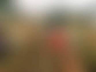 下田農園さまより、人参🥕を沢山戴いて参りました。