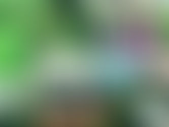 7月17日(木)「雨模様の木曜、午前にいつもの収穫午後に夏野菜の手入れ等」