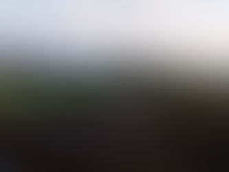 おはようございます!!