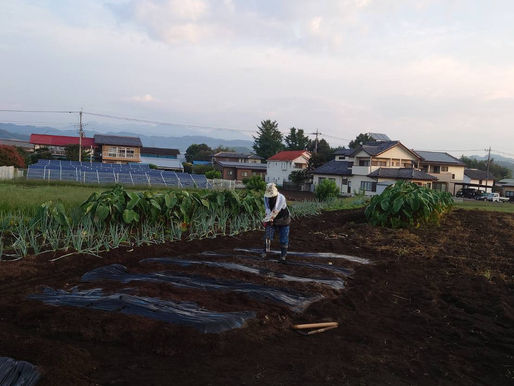おはようございます!!