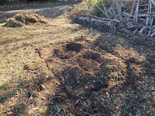 竹林整備と竹炭焼き