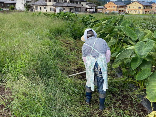 永井さんご夫妻で草刈り作業、ありがとうござました。