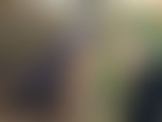 玉ねぎの定植 完了しました。