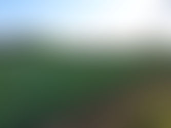 新鮮な秋茄子🍆