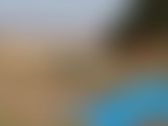 本日もコツコツと