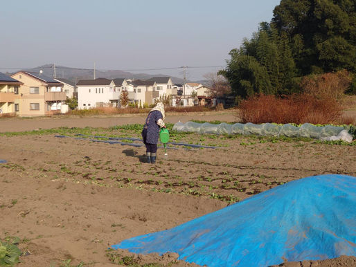 本日もコツコツと
