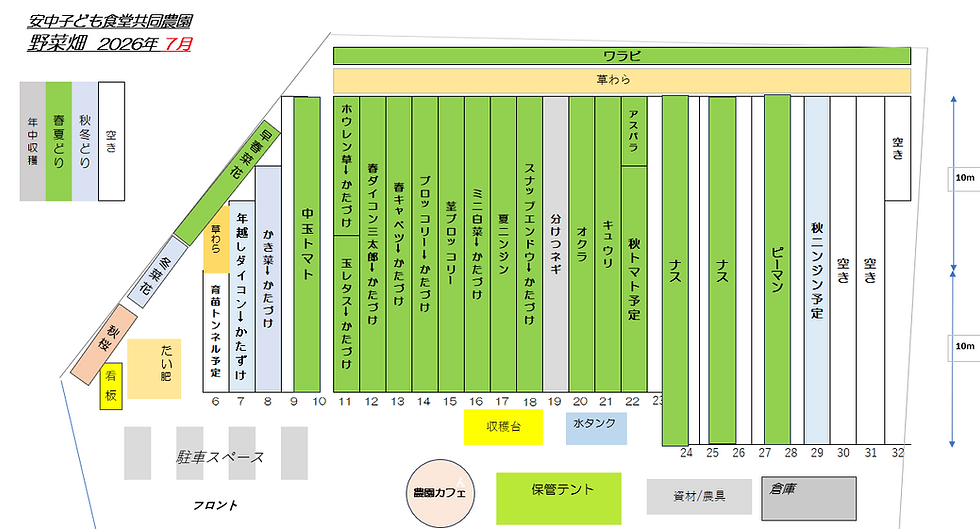 7月の主な作業プラン