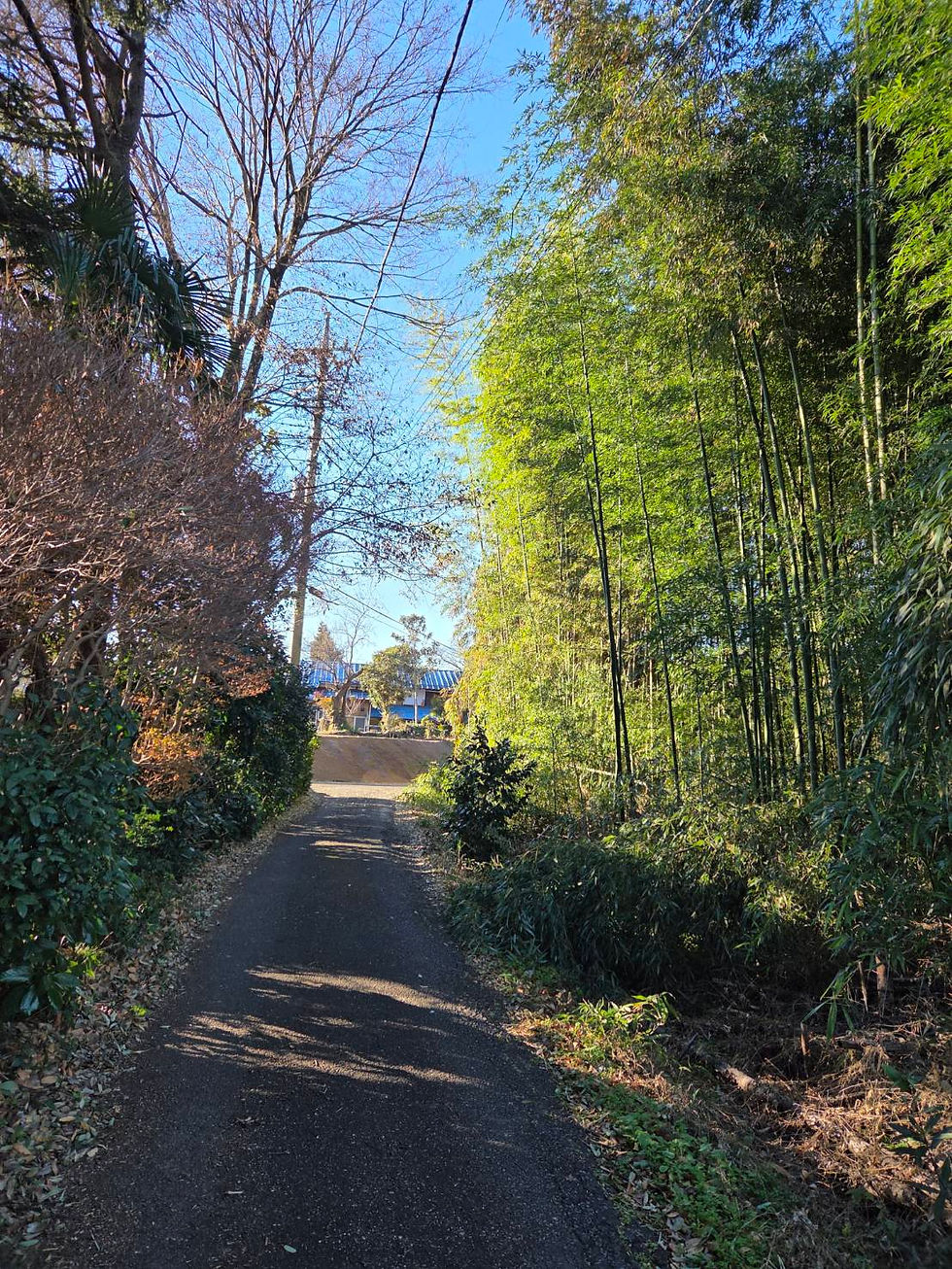 12月18日(木)竹林整備(再開の下見)