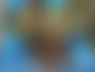 ヤツガシラのズイキを収穫