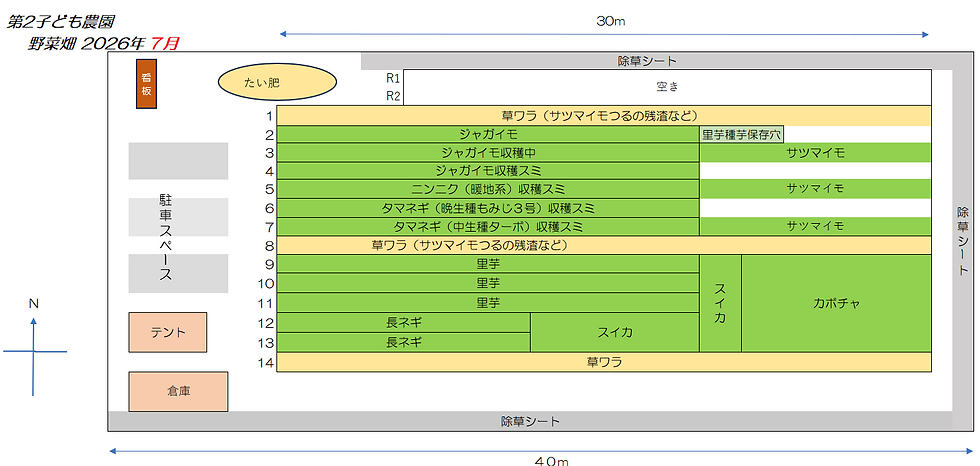第2子ども農園作業プラン