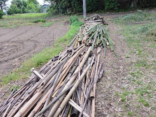 竹林の再生で安中市の未来を築く⑪‐a