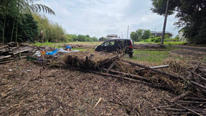 竹林の再生で安中市の未来を築く㉑