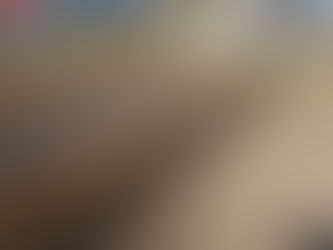 玉ねぎ定植完了‼