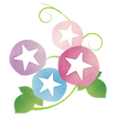 28.png