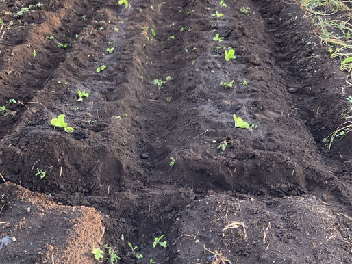 自由に思うまま それぞれが創造的に✨✨