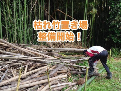 7月6日(土)竹林整備(合同作業①)