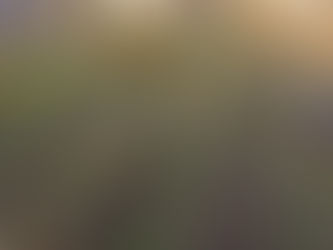 秋は夕暮れ🍁 ですが...。