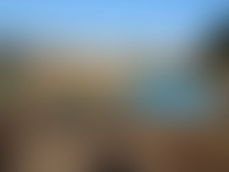 摘み菜定植とヤツガシラ試し掘り