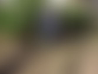 今日から午後の農園です。