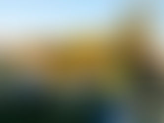10月31日(月)夕焼け色に染まる農園白菜初収穫🌱