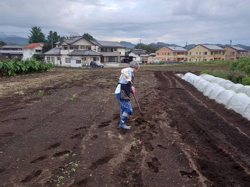 本日もコツコツ