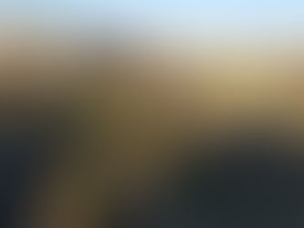 今日の子ども農園