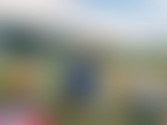 8月2日(土)「猛暑の土曜日、午前にいつもの収穫、夕方に里芋の水遣りなど」