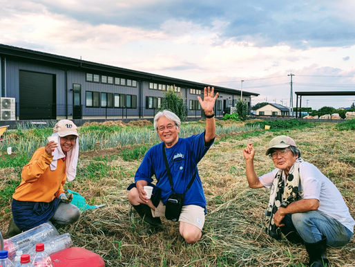 8月2日(土)「猛暑の土曜日、午前にいつもの収穫、夕方に里芋の水遣りなど」
