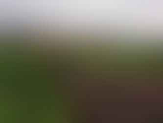 昨日の残りの仕上げ