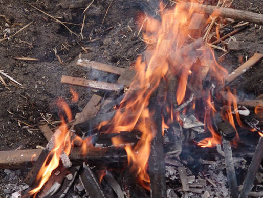 焼き芋🍠 ホクホク