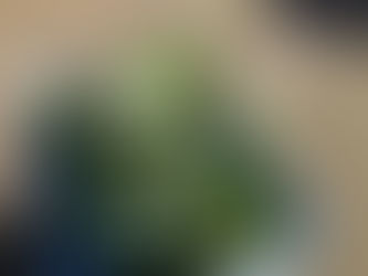 子ども食堂用の野菜収穫