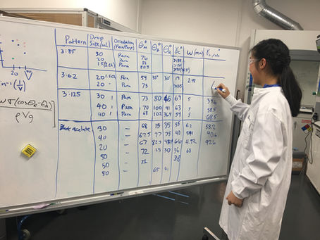 Biomimicking Torrey Pine Needles: Atmospheric Moisture Harvesting Device