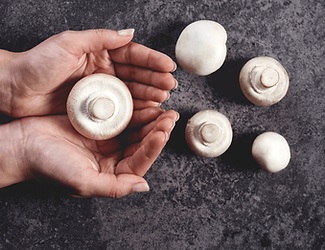 owoce49-2024-12-02-05-49-43-utc-Large (1).png